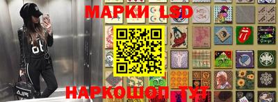 PSILOCYBIN Чапаевск