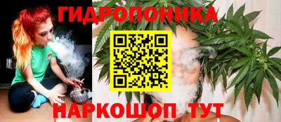 PSILOCYBIN Чапаевск