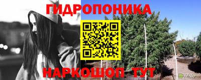PSILOCYBIN Чапаевск