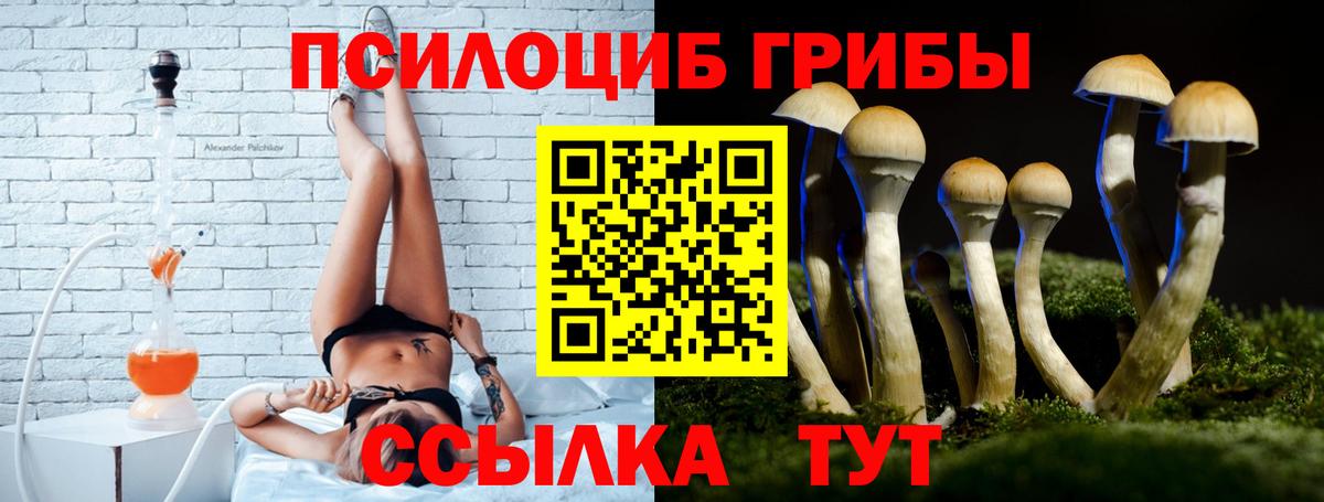 Майский  Галлюциногенные грибы прущие грибы  Вход с VPN 
